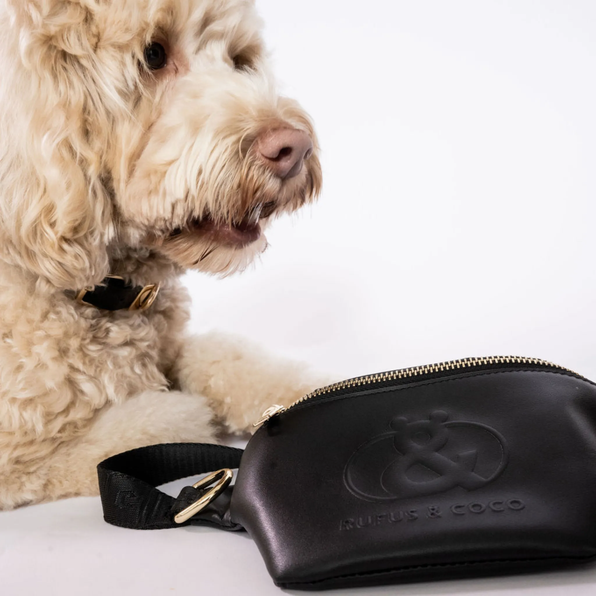 Manly Leather Walking Bag